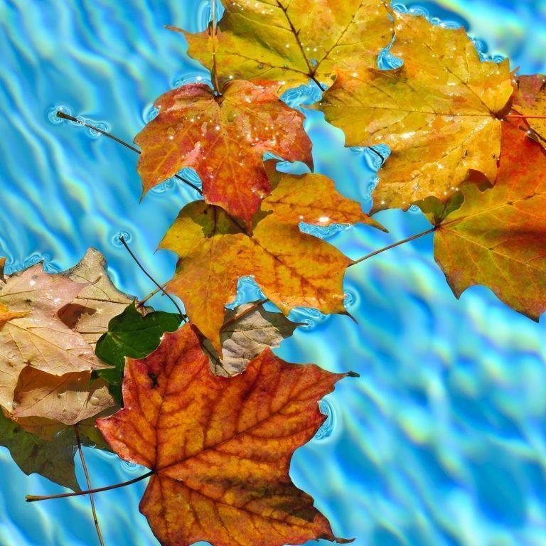 Shorter days and cooler weather, it's time to hibernate your pool. Winterising your pool prevents algae blooms and the growth of harmful bacteria. Our advice can save you time and money and make opening your pool in Spring easy and economical.

Email: Info@poolsideservices.co.uk