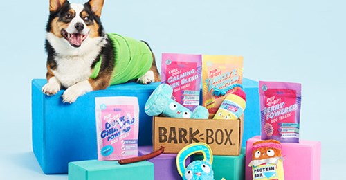 RT https://t.co/XA65ulBxmi RT https://t.co/5OrEEFrU7U RT @AilsaForshaw: Get Your #BarkBox Double Stuffed (Value $35) Valid 10/14-10/18 https://t.co/ohW4jZ8t1T #ad #dogs #Dog #petsupplies … https://t.co/OpIzGW5Ihq