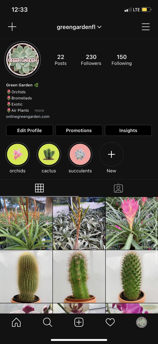 inezpardo's tweet photo. please go give my family’s business some love on Instagram, anything helps!!🌷🌿🌸 Our Instagram name is “greengardenfl” 💗 https://t.co/LDnJCN9rXH