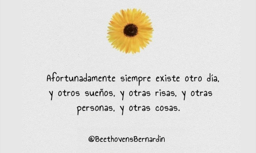 🌻