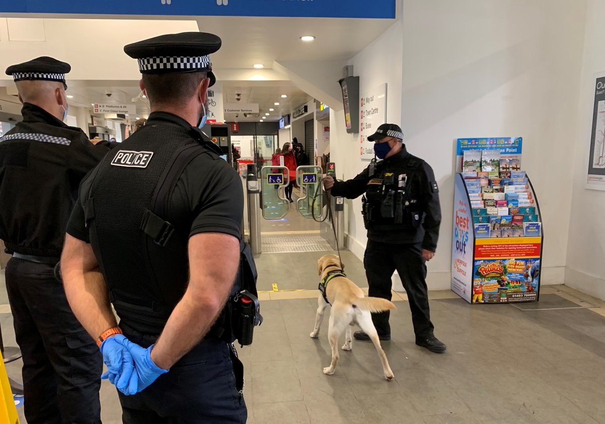 IpswichPolice's tweet photo. Two days of action at Ipswich Railway Station with @BTP tackling #countylines with help from Police Dog Elvis. Numerous searches and drugs seized #Opshere https://t.co/zTYy5Hpv66