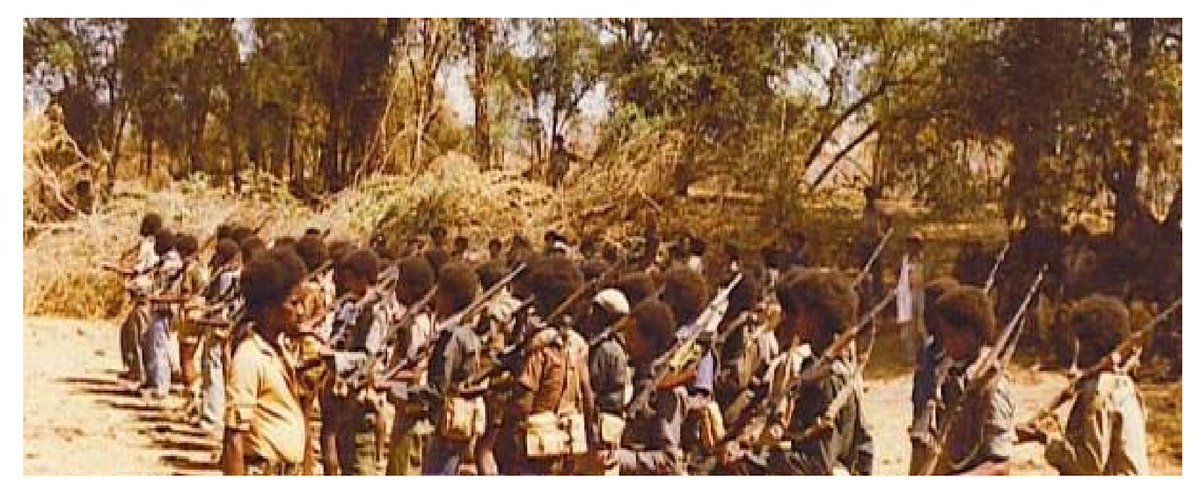 He also used this period to recruit a new ally, Weyane. Over 1,500 TPLF fighters made their way to Sahel to train. Their numbers in  #Eritrea would swell to an est. 5,000 later on.In time, he started questioning &/or completely denying all agreements with ELF.