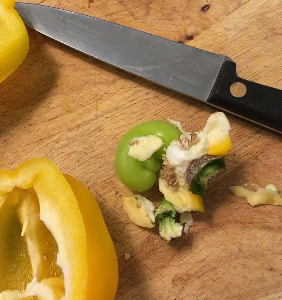 Madi_MacMahon's tweet photo. My pepper was pregnant. #doubleguilt https://t.co/7d1QmbF0Bt
