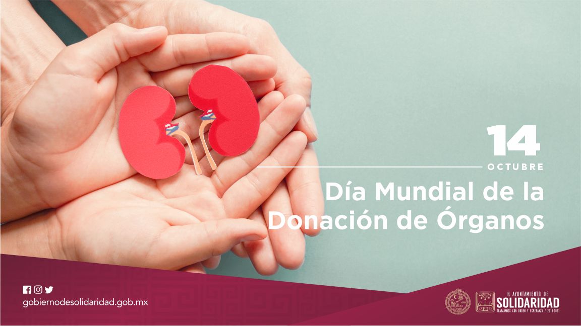 #Efeméride | Cada 14 de octubre de celebra el Día Mundial de la Donación de Órganos, Tejidos y Trasplantes. La fecha busca generar conciencia y reflexionar sobre el valor de la donación.

“Tu decisión salva vidas” ❤️

#PlayaDelCarmen
#PuertoAventuras