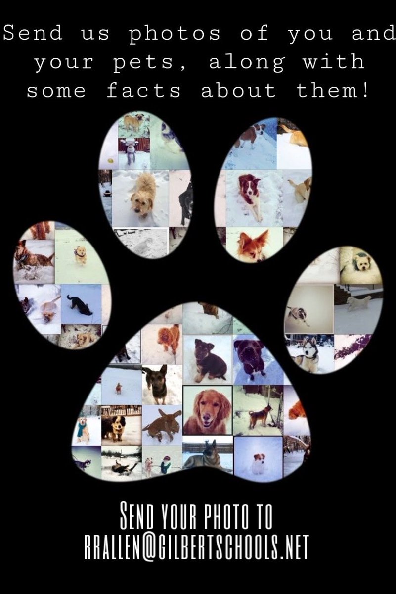 CampoVerdeYB's tweet photo. Send us photos and tell us about your pets! #cvcoyotedays @CVHS_DrCox @CVHSYotes https://t.co/E4yZpDPavh