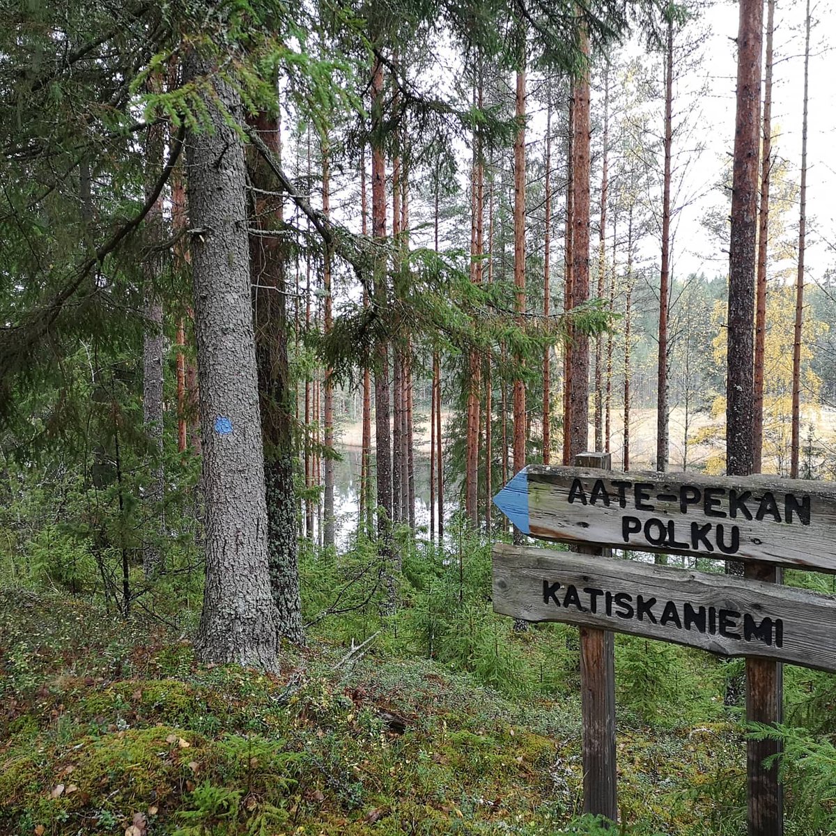 Kävin muistelemassa 😊
#oronmylly täynnä monia ikimuistoisia hetkiä omalta rippileiriltäni ja useilta lasten ja nuorten leireiltä, joihin aikoinaan osallistuin 💕 #onkositäjovanhakunmuisteleemennyttänuoruutta 🤭🤔😄