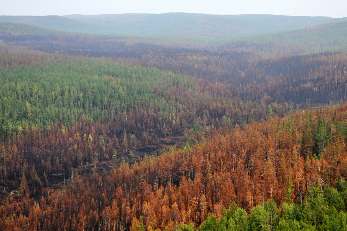 For Russia, 2020 has been a year of climate warnings.

In June, melting permafrost in the Arctic helped trigger a fuel-tank leak that released 20,000 tons of diesel into rivers and soil. By July, Siberian fires had engulfed an area larger than Greece trib.al/Hbd9eM0