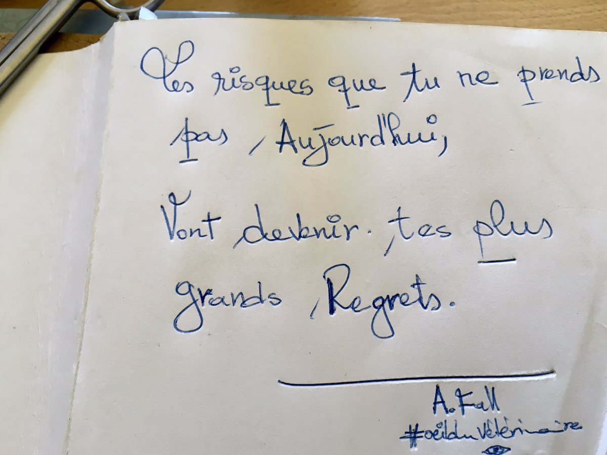 Fallab_vet's tweet image. #Oeil_du_vétérinaire 👁