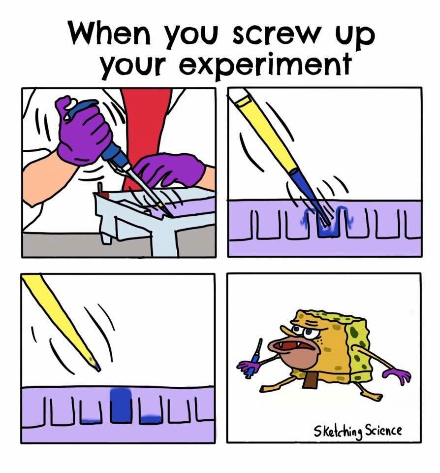 Just a few memes to get us started...