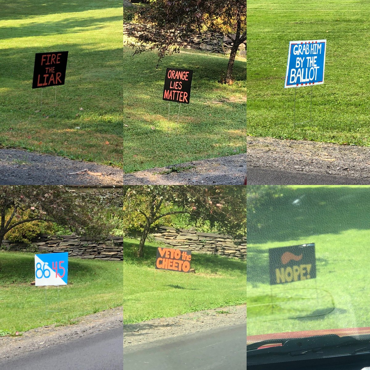 heather2sch's tweet photo. @RadioMadison My neighbors make their own &amp; they are great! They have to take them in at night so they don’t get ripped up https://t.co/R5zUyTbJGI