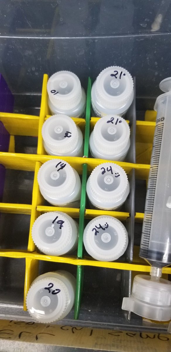 Here's our DON bottles ready for sampling! They were acid washed back on land, and you can see the syringe and filter off to the right to remove any particles from the water. The numbers on the caps tell us which Niskin bottle to sample from, each bottle closes at a diff depth