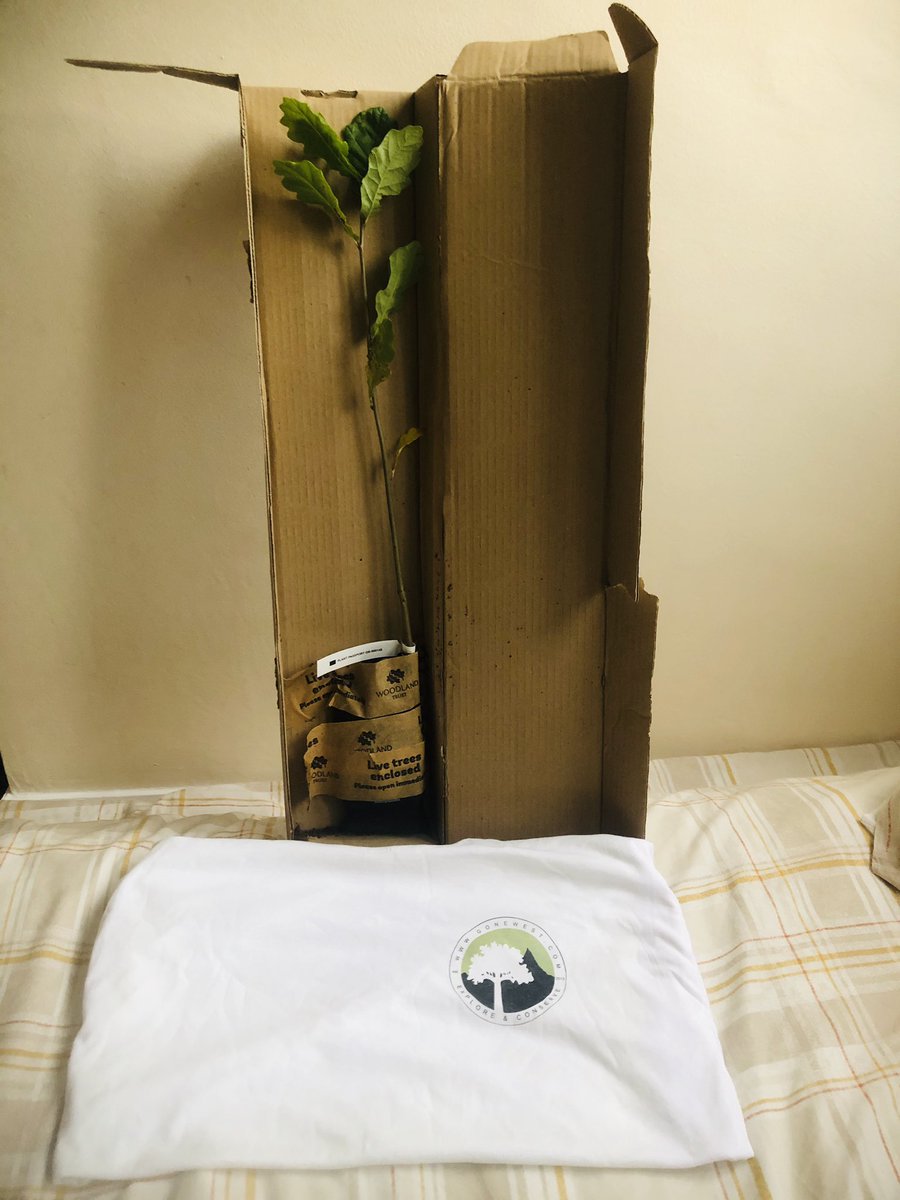 nomadicpaddler's tweet photo. And the quest to deliver ‘The Solent Tree of Growth & Freedom’ begins....
#gonewest #gonewesttreeplanting #acornstooaks #treeswork #socialchangemakers #fortheplanet #forpeopleforplanet #youthcandoit #princestrust #greenpioneer50k #gonewest50k #makeyourwayto50k #movefortheplanet https://t.co/vMAOnfYR3E
