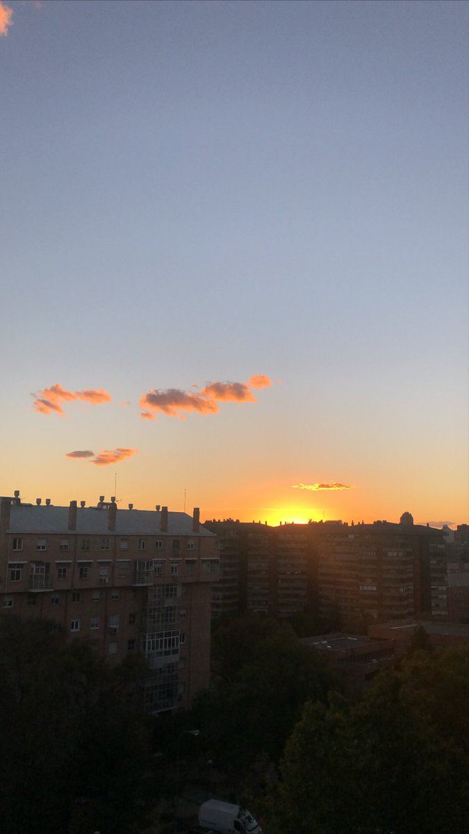 Alejandra Siguín Iniesta tweet media