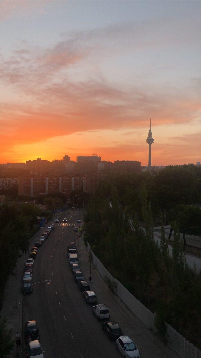 Alejandra Siguín Iniesta tweet media