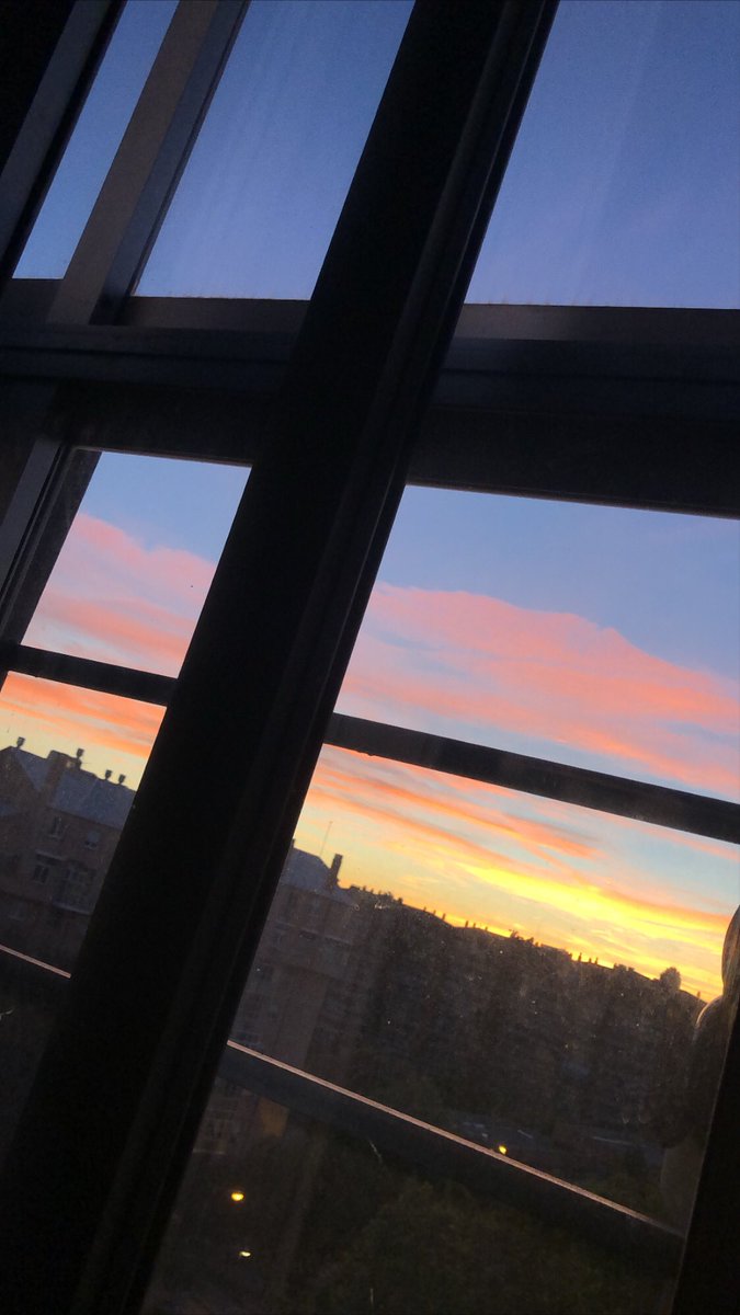 Alejandra Siguín Iniesta tweet media