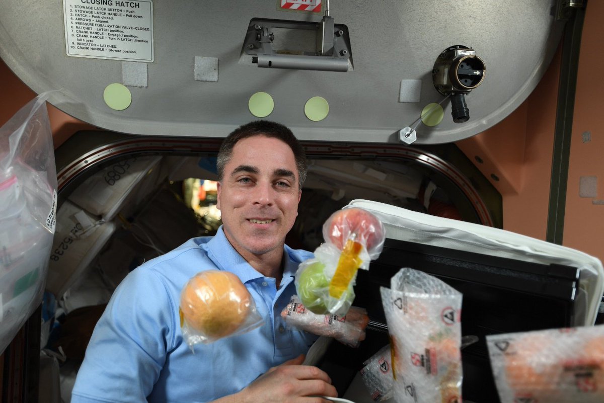 NASA_es's tweet image. ¡Mientras @Astro_SEAL comienza las últimas semanas de su misión en la @Space_Station, la ciencia no se detiene! La semana pasada, la tripulación trabajó en estudios de medicamentos contra el cáncer y de crecimiento bacteriano en el espacio. go.nasa.gov/33VAUus