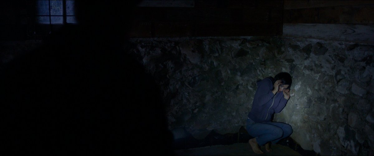 AloneMovie's tweet photo. When will her nightmare come to an end? #AloneMovie https://t.co/Ikl7RPhKiE