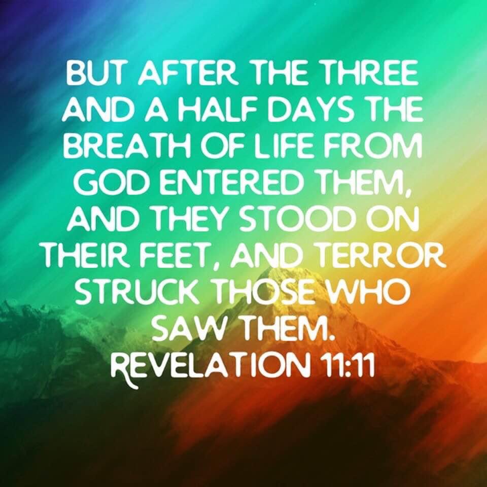 ItsMeAgainx2's tweet image. Revelation 11:11 
Year 2020, to reveal all, to see with 2020 vision.