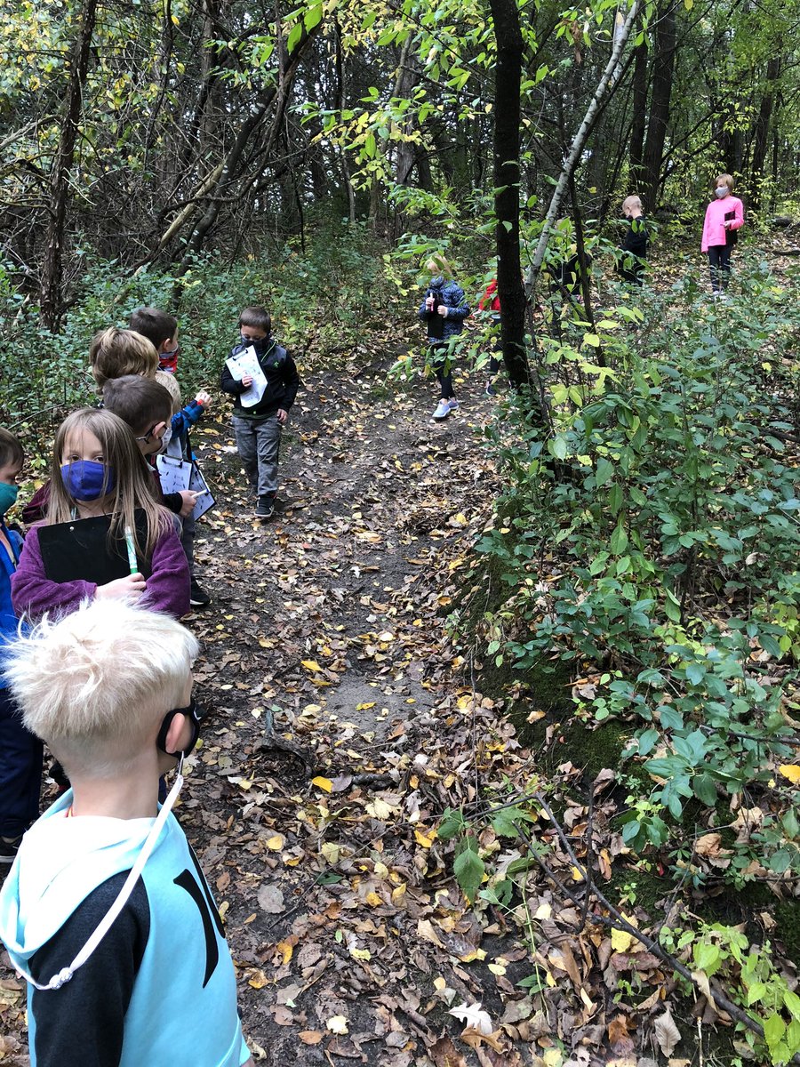 LisaMikeO's tweet photo. Goin’ on a bear hunt...or, a scavenger hunt! #cfelem https://t.co/trzRVv22tF