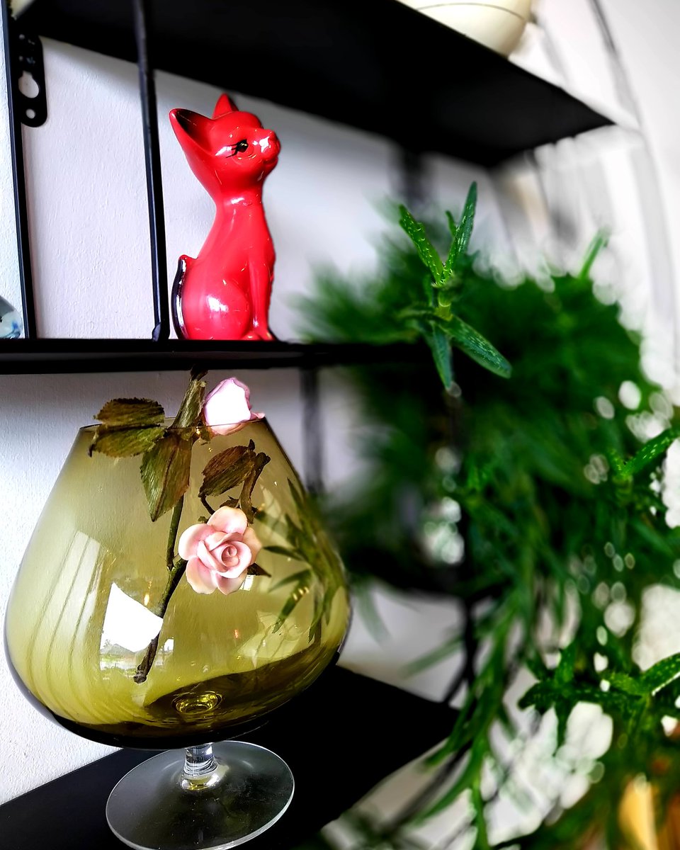 "A bad day with coffee is better than a good day with none" or is it 🤔 "A bad day with coffee is better than a day with bad coffee" or is it 🤔 "A bad coffee is worse than a good day without it" arrgh..those quotes..I'm confused! 😖
Quick give me a coffee! ☕
#fromSonofaBurch