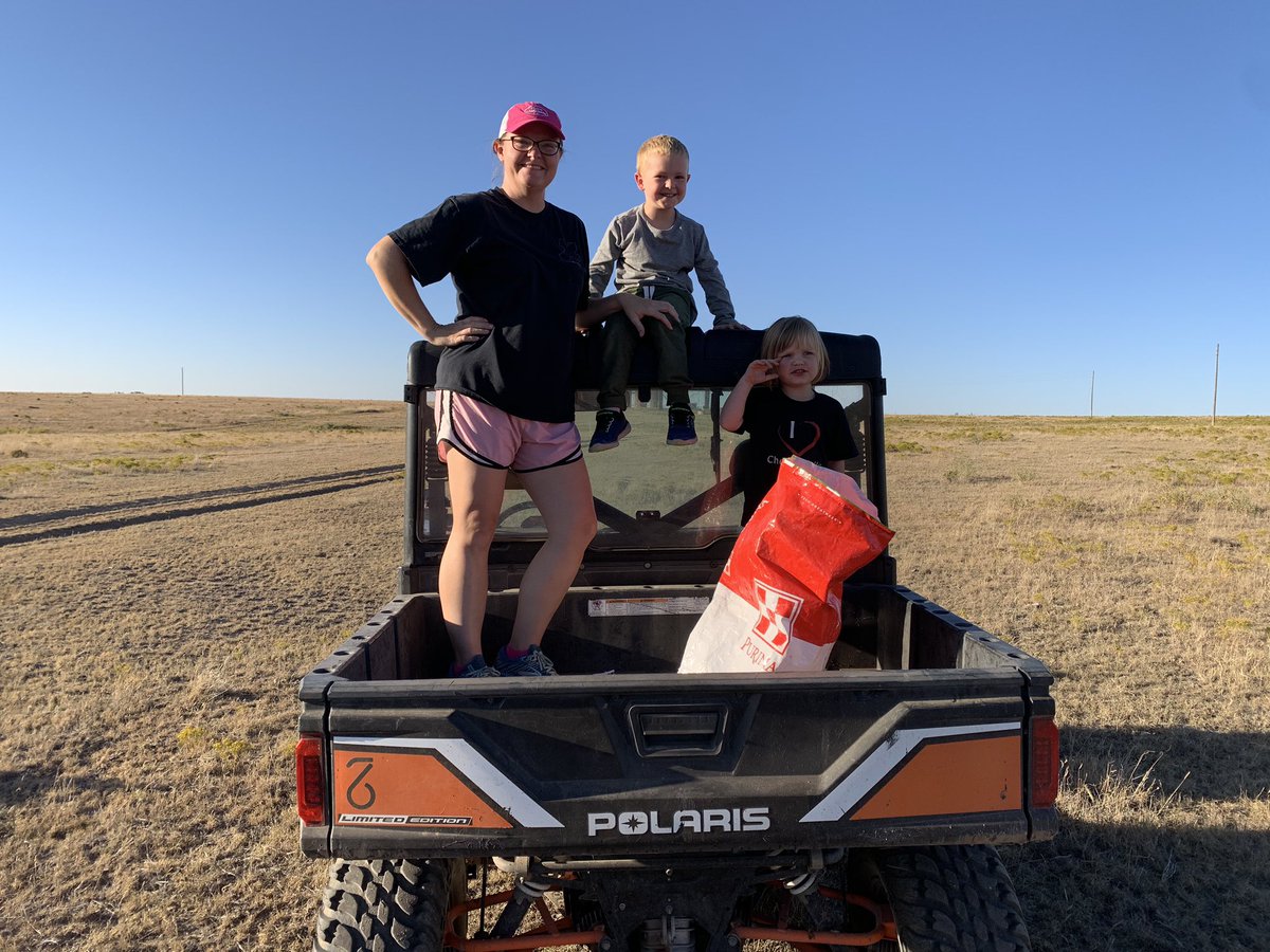 TiffDowell's tweet photo. We about got fired from our cow counting crew job...and then we realized we were confused because this gal had twins! #farmlife #ranchlife #countingcows #agtwitter #twincalves https://t.co/ykn98p9jvR
