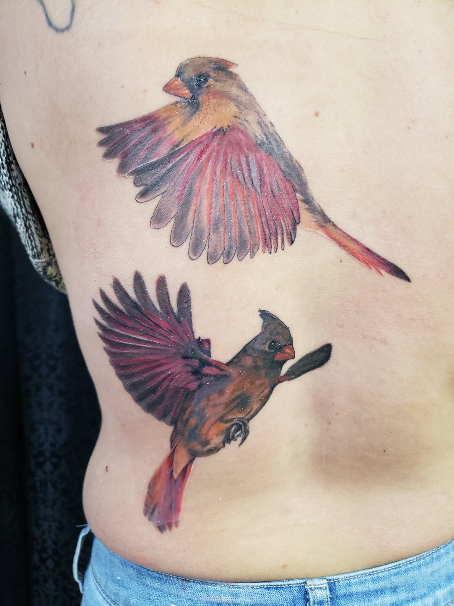 Minimalist Cardinal Tattoo - jli6wrq