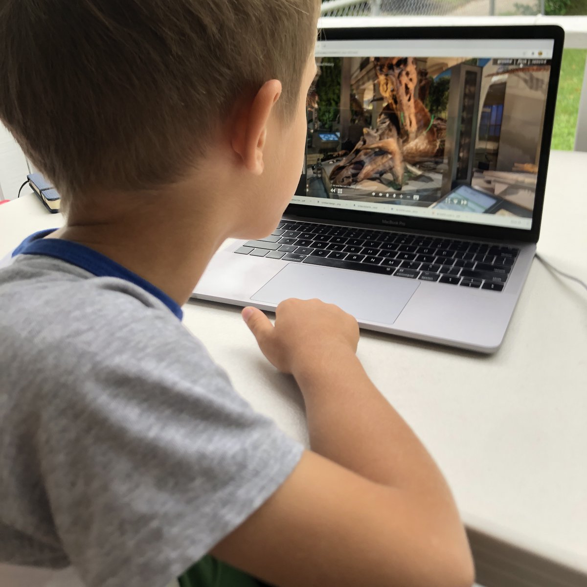 NMNH's tweet image. Parents and teachers, your kids can continue to explore their inner paleontologist by signing up for our free Virtual Fossil Celebration, happening Nov. 7 - Nov. 17, 2020. #NationalFossilDay #thingsforkids

Register here: s.si.edu/fossilkids