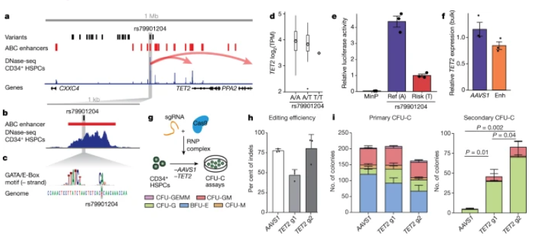 Nature Genetics tweet media