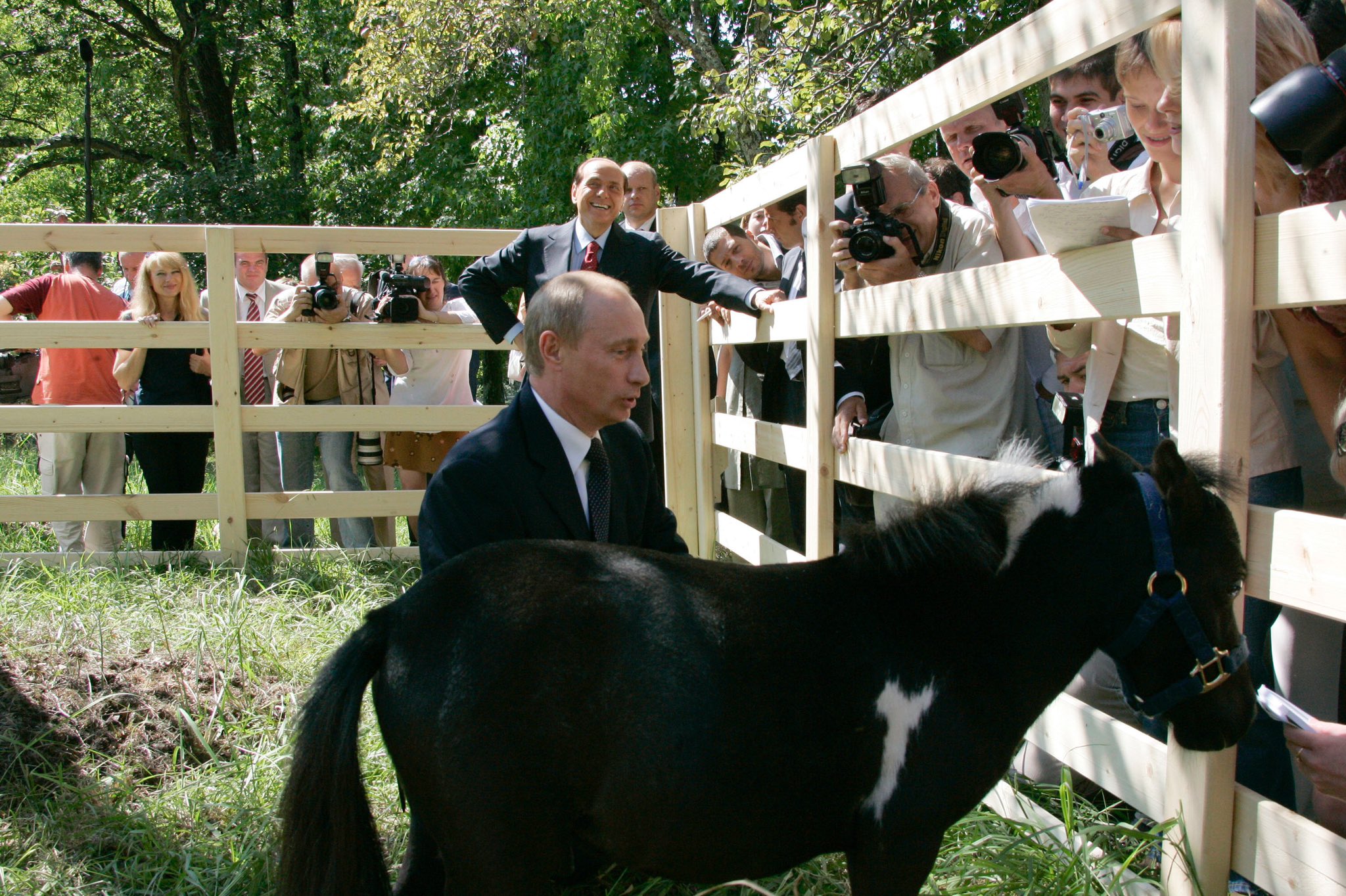 Путин лошадка Вадик