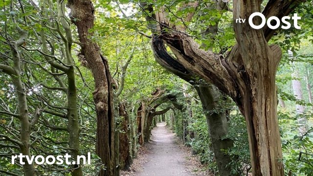 Expeditie Oost: Etappe 2 van de ASW4D bit.ly/3k03Irj #rtvoost #expeditieoost