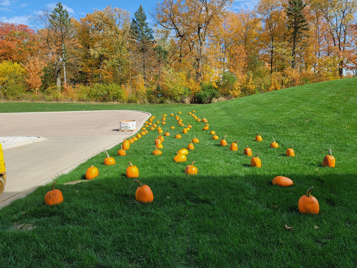 mcruz1317's tweet image. Social Distancing At It's Best!