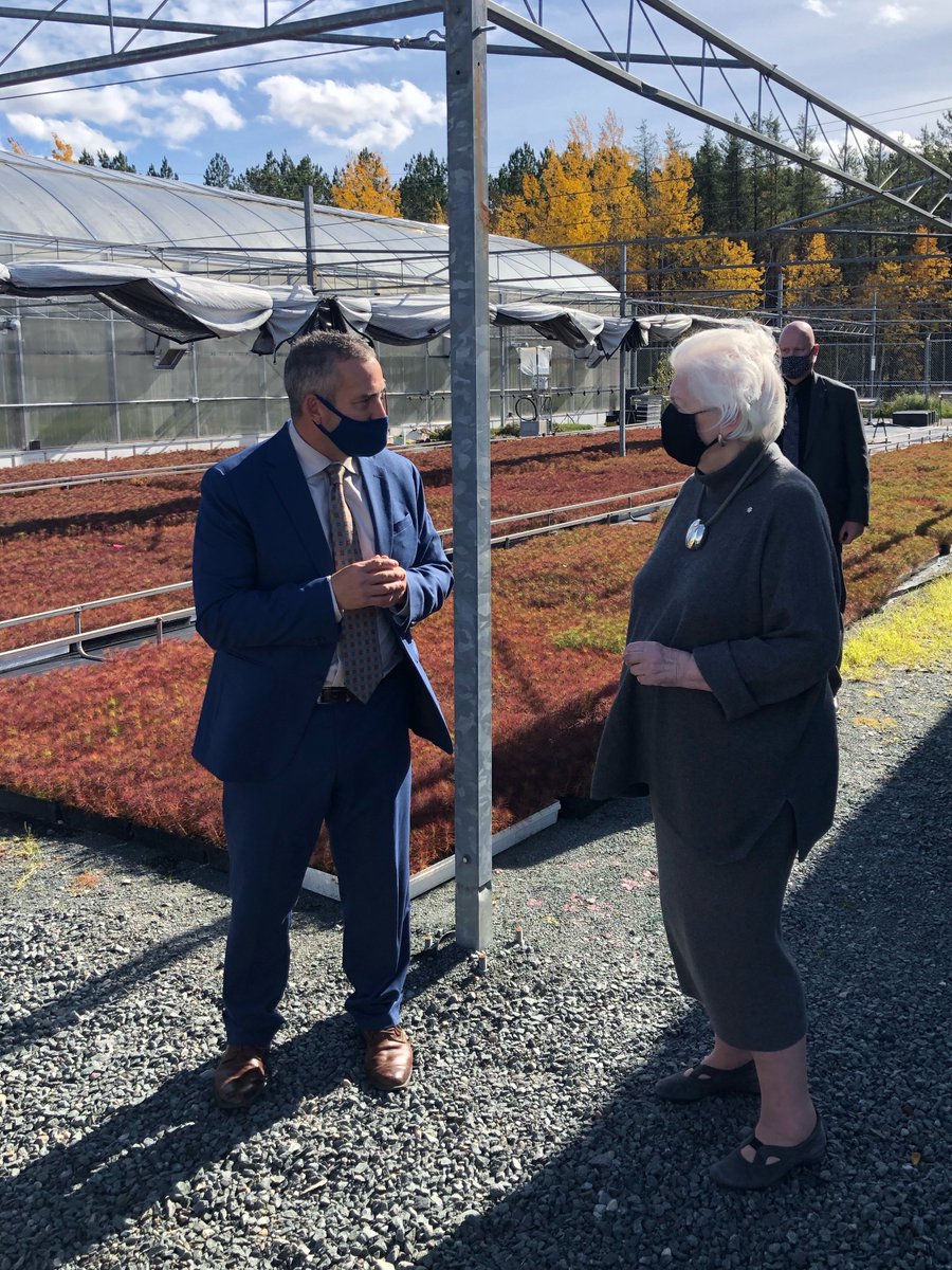 collegeboreal's tweet photo. @LGLizDowdeswell au Centre Glencore de recherches appliquées en biodiversité
20K arbres/an @GreaterSudbury #reverdissement
Contrôle qualité & vérif taux de survie par prog Environnement forestier
#VETAC plantera 10 millionième arbre en 2021!
@CollegeCan @CollegesOntario #onfr https://t.co/GOONT7eDnR
