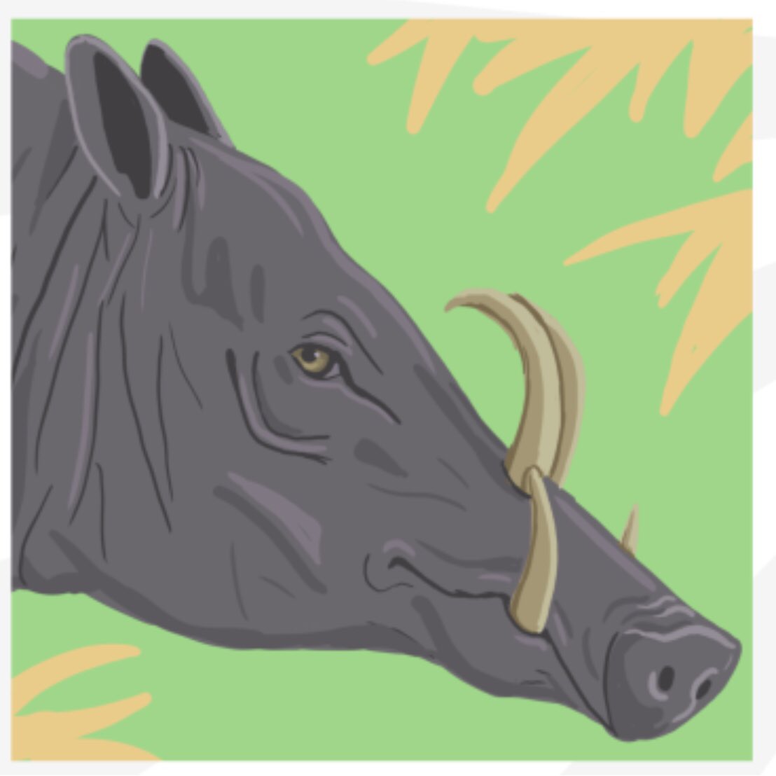AmazingWildPod's tweet image. With a name that translates: “pig deer” the #Babirusa is a unique wild pig from Indonesia.
Learn more today:
amazingwildlifepodcast.com/2020/10/14/bab…