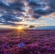 marillion13's tweet image. Good evening to all those whose tweets I eventually see now and then for a second, but whose tweets´re always gone before I can like/retweet/answer to them due to the stupid #NewTwitterLayout that refreshes every 1 - 2 seconds!!! #StaySafeAndHealthy. 
😷😷😷💖💖💖#WearADamnMask.