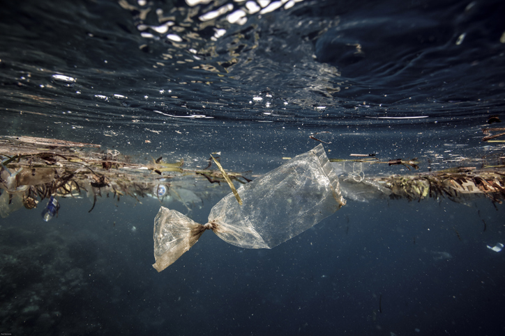 CANWasteFacts's tweet photo. "Canada one-step closer to zero plastic waste by 2030"

@PRNewswire 

#plastic #plasticwaste #waste #singleuseplastic #plasticban #plasticpollution #singleuseplasticban #beatplasticpollution #trash #landfill #recycle #canada 

https://t.co/0meN0aswwx https://t.co/dOmtinZHW8
