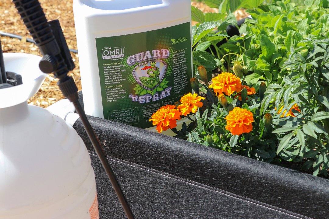 GeopotFabricPot's tweet photo. You've worked way too hard to let pests come in and take it all for themselves and ruin your plants in the process. 🐛 Guard 'n' Spray will keep unwanted critters at bay with its all-natural formula. https://t.co/Zb6c5rHGOT
