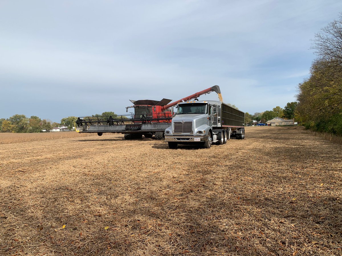 OhioStatePA's tweet photo. Harvesting an #eFields soybean row spacing trial today. We are comparing 15, 20, and 30 inch row spacing. Thanks to @PrecisionPlant, @Case_IH, @Geringhoff, @Trimble_Ag, @ebytrailers, and Intercomp for your support of this project! #SeedingIntel #LeanOnYourLandGrant https://t.co/HRrAKU1ymg