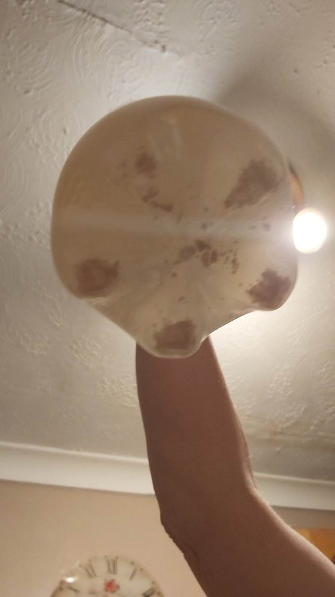 StaceyHardwick's tweet photo. @Tesco just had an home delivery and my Lychee drink has bits floating at the bottom, even when we shook it up they were still there. https://t.co/iwFLZYuG9c