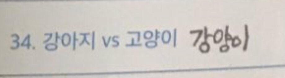  #jimtober D16: If you've ever heard the nickname "puppykitty" but don't know where it originated from, it was in a 4th Army Kit interview where jimin was asked "puppy or kitty" and he said 강양이 (puppykitty). Editors and fans have been calling him that since then 