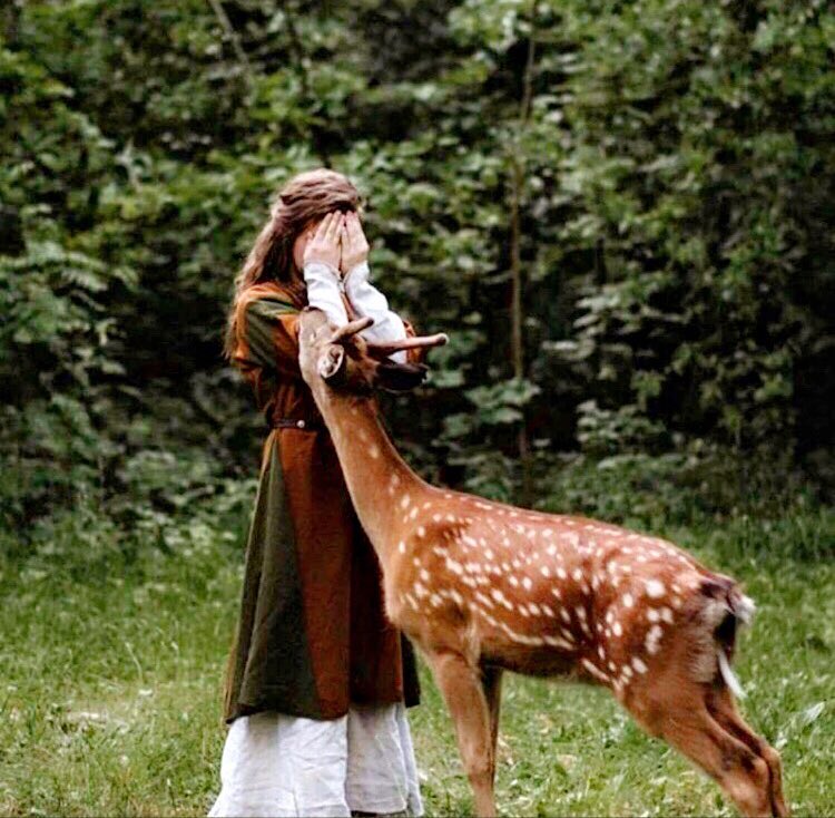 نواف الفهاد tweet media