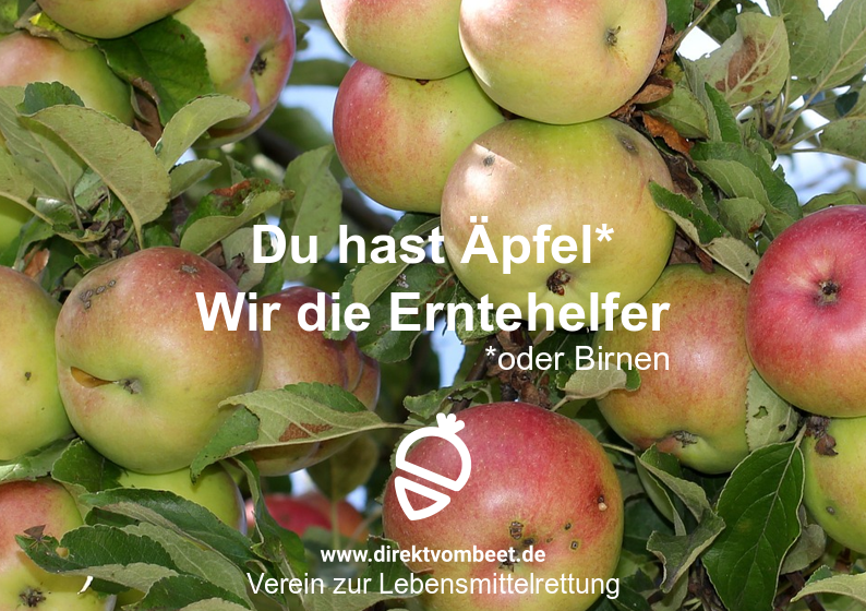 Der SPARSAME Umgang mit Lebensmitteln...früher ganz normal, heute wird's beworben. Komische Welt. 

#nachhaltig #Lebensmittel #Essen #Vegan #Garten #Gartenliebe #Kleingarten #Kleingartenverein #KGV #Zugutfürdietonne #direktvombeet