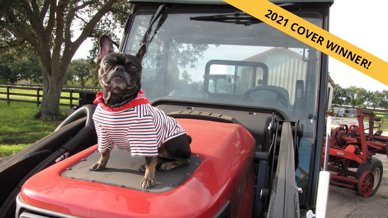 wescoturf's tweet photo. Congratulations to the 2021 #RedIronDogs calendar contest winners! Our cover winner is Lisette; a French Bulldog who fits perfectly on top of the Toro Outcross at the @SarasotaPolo Club. See all the winners and honorable mentions here: https://t.co/dMl4BfJd7a https://t.co/cjnUWkSCim
