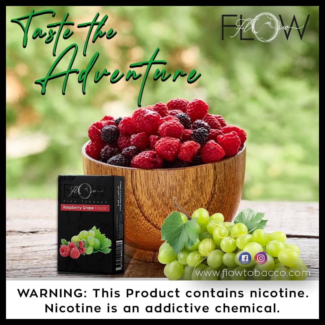 flowtobacco's tweet photo. Made for those who are connoisseurs of juicy #fruit and #berries looking to try something more daring. Guaranteed to give you a strong #juicy hit of euphoric #sensation with a great #berry kick.
#raspberrygrape #flowflavor #flowherbal #nicotinefree #herbalshisha #dmztv #herbal https://t.co/2hdJ2HgTCk