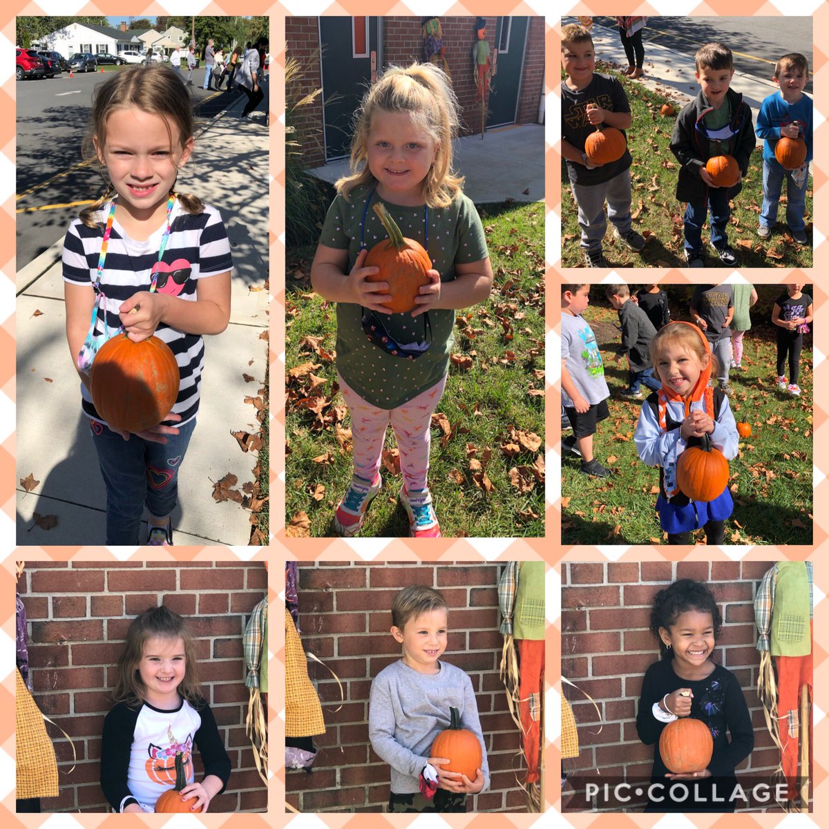 MrsStetsonsCrew's tweet image. Thank you to our amazing PTO for our #Spookley Pumpkin Patch and @MrsDorozynski for helping us paint our pumpkins!! What a great day!! Can’t wait to see our glittery masterpieces tomorrow! 🎃
@SycamoreECLC #HazletProud #kindergarten