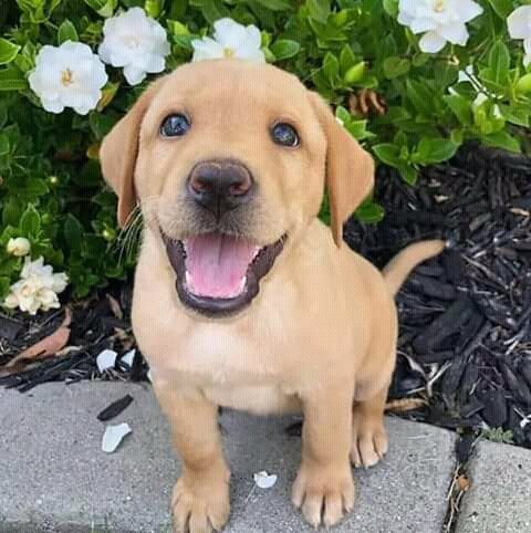 Doctor Andrew tweet media