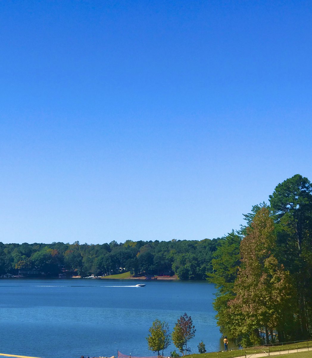 Deb Shababy tweet media