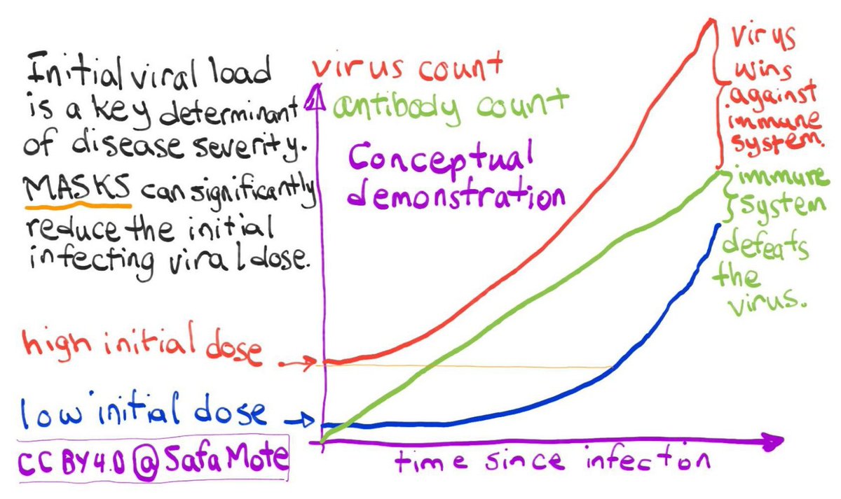 Even patients who have recovered from a prior infection might become severely sick or die if exposed to a large viral load.9/