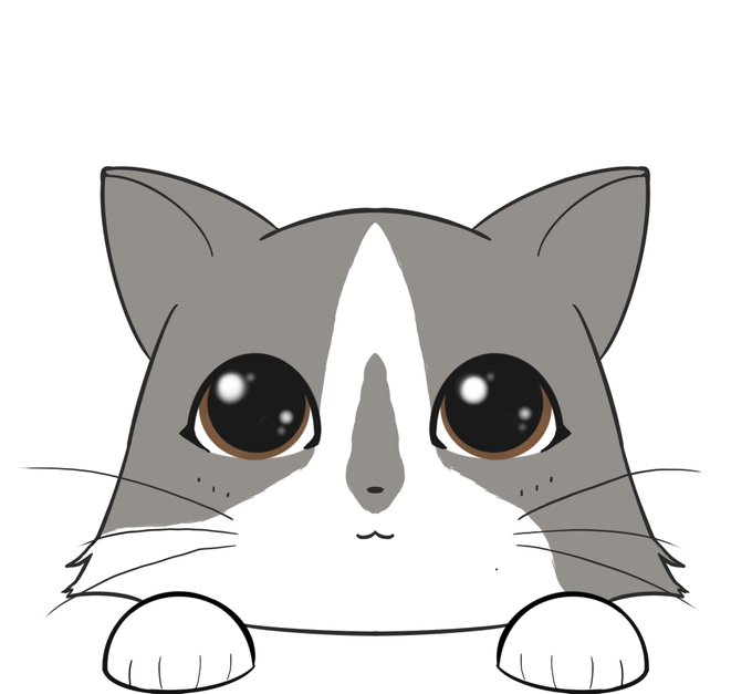 twitch . TV / DivSavel tweet media