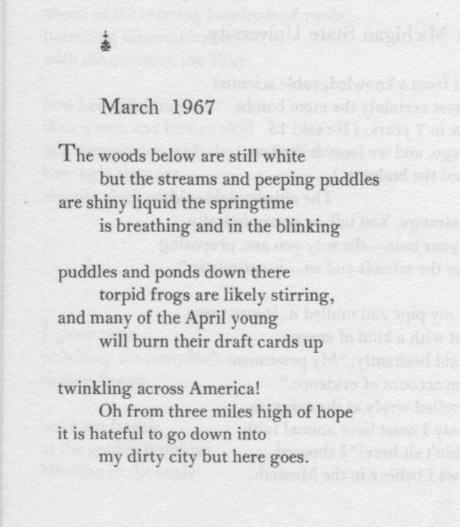 Springtime 50 years before Ocean Vuong's poem: US resistance to the Vietnam war