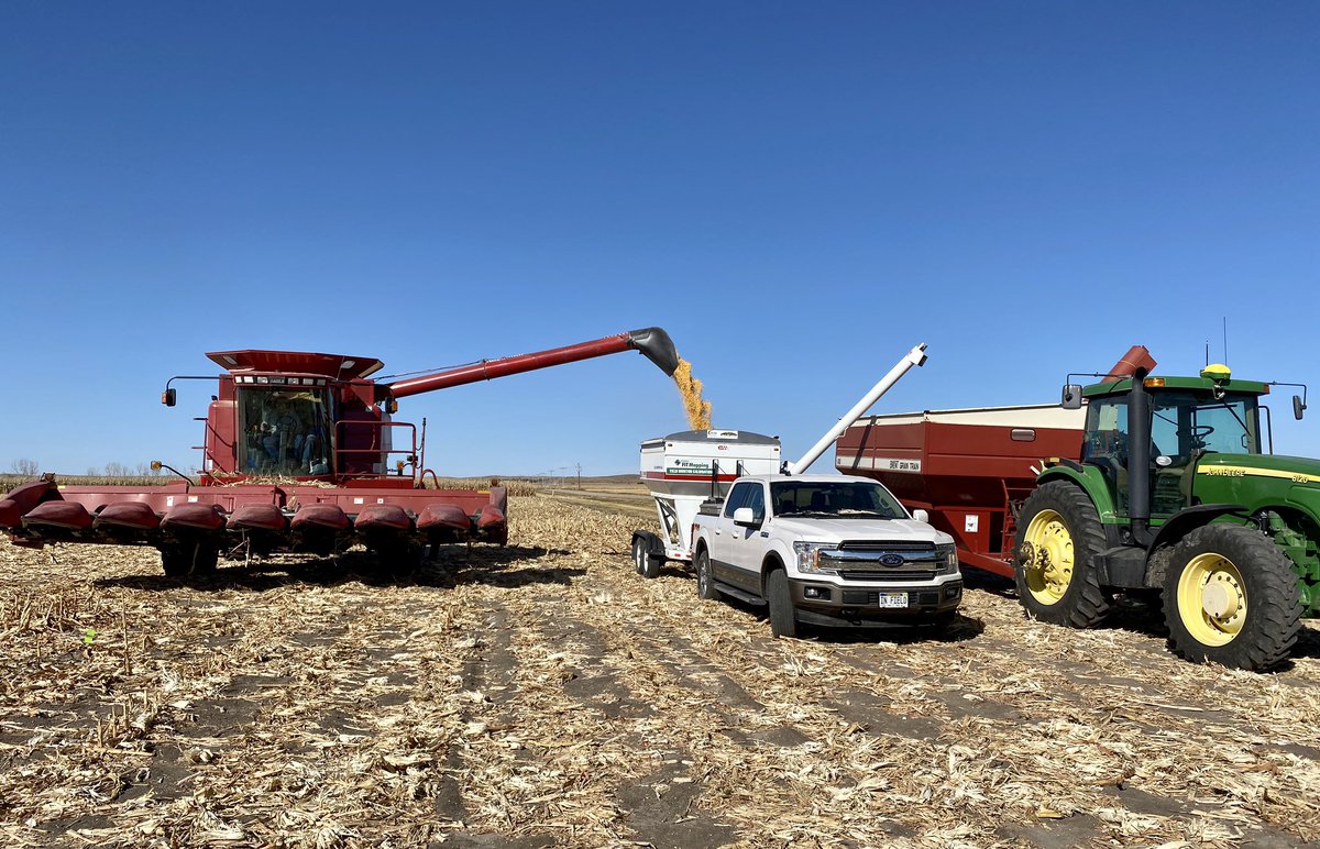 Gavin Kenney (@gavinrkenney) on Twitter photo Another excellent plot coming out yesterday near Overton, NE. P1563AML came away with the big win, followed by P1366Q, P1082AM, P1185Q & P1548AM to round out the top 5! <a href="/PioneerSeeds/">Pioneer Seeds U.S.</a> Another excellent plot coming out yesterday near Overton, NE. P1563AML came away with the big win, followed by P1366Q, P1082AM, P1185Q & P1548AM to round out the top 5! <a href="/PioneerSeeds/">Pioneer Seeds U.S.</a>